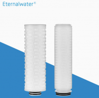 PES 0.45 Micron Filter Cartridge