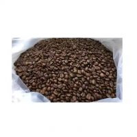 Quality Green Coffee Beans