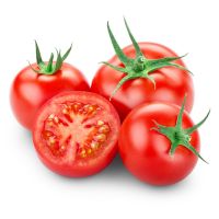 Best Quality Hot Sale Price Fresh Vegetables Tomatoes