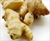 Hot Selling Fresh Ginger Wholesale Ginger Fresh Stock Bulk