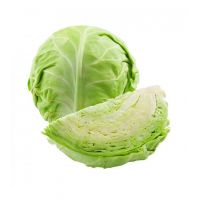 Good Quality Fruits and Vegetables Fresh Green Cabbage