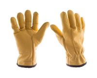 Direct Supplier's High Quality Cow hide gloves With Best Price