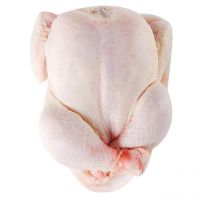 High Quality Chicken Frozen Wholesale Cheap Price