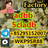 Buy 5cladb powder 5cladb drug 5cladb supplierÂ 5cl-adb