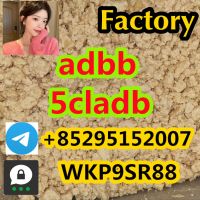 5cladb China supplier 5cladba adbb 5cl-adb 