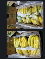 Vietnamese Fresh Cavendish Banana