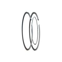 Two-stroke Piston Ring