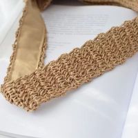 Straw Braided Circle Tote Bag