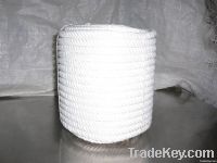 Polyester Rope