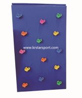 Children's climbing board