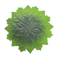 EVA Waterproof Placemat For Dinner