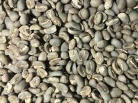 Specialty Arabica Semi Washed Wash Process Green Coffee Beans