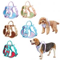 Pet Waterproof Collar Four-piece Set