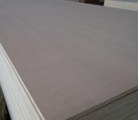 AAA Grade Poplar Core Natural Red Oak/Walnut/Beech/Ash/Teak Veneer Fancy Plywood 