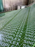 Waterproof Green PP Plastic Film Face Plywood For Construction