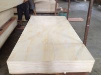 WBP Structural Pine Plywood With Knot And Without Knot For Outdoor Indoor Use 