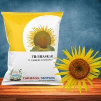 FB-BHASKAR F1 HYBRID SUNFLOWER SEEDS