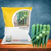 FB-SAMRUDDH F1 HYBRID OKRA SEEDS