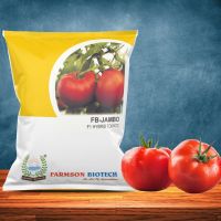 FB-JAMBO F1 HYBRID TOMATO SEEDS (BIG ROUND AND RED)