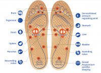 Massage Insoles