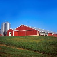 Prefabricated Steel Chicken Coop