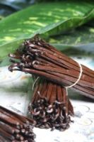 Ugandan Vanilla Bean Producer &amp; Exporter USA, Indonesia, Canada, France, Germany, Australia +27631501216