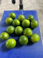 Seedless lime