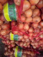 Organic  Red And Yellow Onions