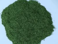 Dried Dill