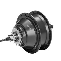 Zsm2136A 2 Speed 250W Automatic Motor