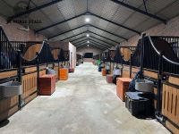 Power Coated Surface Equine Products Horse