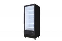 BF500S Upright display freezer