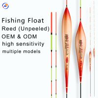 Sensitive Reed Fishing Float - Chinese Floating