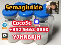 CAS 910463&acirc;��68&acirc;��2 Semaglutide White Powder 20 GEL