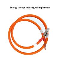 Wire Harness For The New Energy
