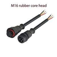 Automotive Waterproof Wire Harness, Footboard Motor