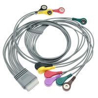 SE-2012 Dynamic Electrocardiogram EDAN Workstation