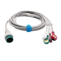 Huateng Comen Platina Hexin Zhongdian Huasheng