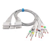 Compatible With Mortara AMxx Series Patient