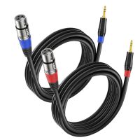3.5mm To XLR Female Microphone