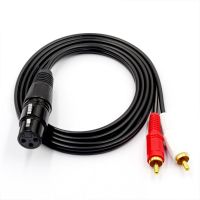 XLR To Dual RCA 1-to