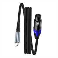 Type-c Mobile Phone/Computer Recording