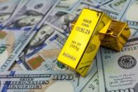 finance and Investment 