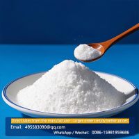 Polyanionic Cellulose PAC-LV