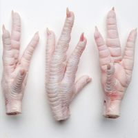 FROZEN CHICKEN PAWS AND FEET