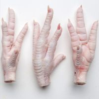 Premium Frozen Chicken Feet &amp; Paws-A Grade, South African Origin