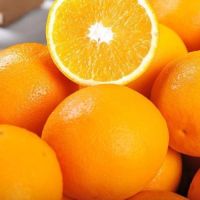 Premium Fresh Orange Fruit Natural & High Quality | Export