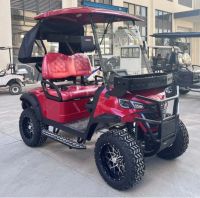 2 Seat Golf Cart Electric 2