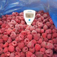 High-Quality IQF Frozen Fruits | Direct From Chile | Bulk Supply