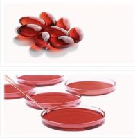 Krill Oil, Krill Meal, Krill Oil